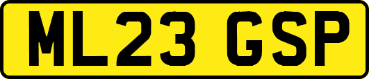 ML23GSP
