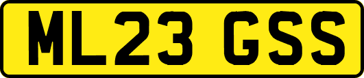 ML23GSS
