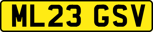 ML23GSV