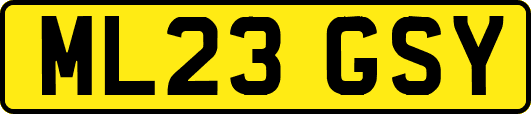 ML23GSY