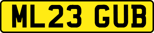 ML23GUB