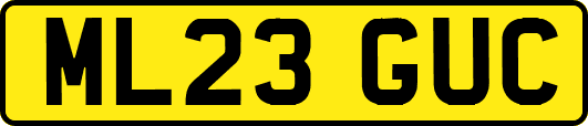 ML23GUC