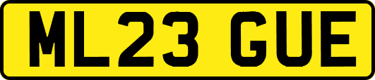 ML23GUE