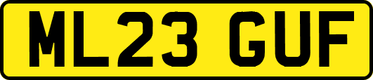 ML23GUF