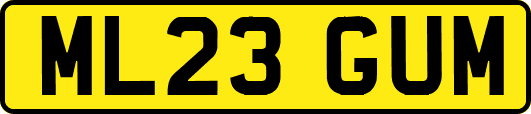ML23GUM