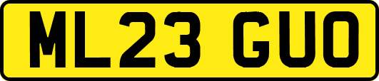 ML23GUO