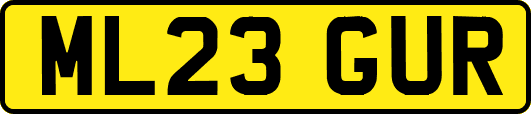 ML23GUR