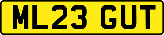 ML23GUT