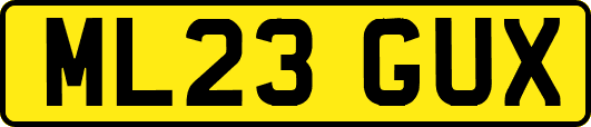ML23GUX