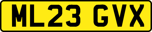 ML23GVX