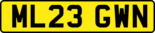 ML23GWN