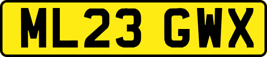 ML23GWX