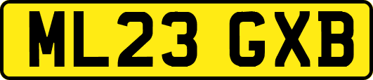 ML23GXB