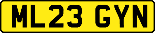 ML23GYN
