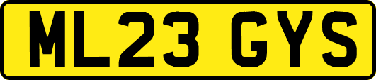 ML23GYS