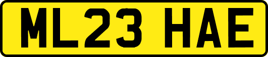 ML23HAE
