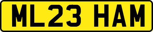 ML23HAM