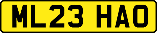 ML23HAO