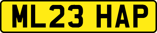 ML23HAP