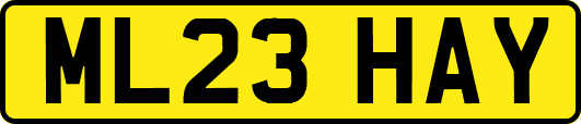 ML23HAY