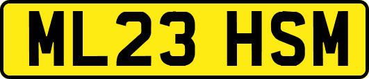 ML23HSM