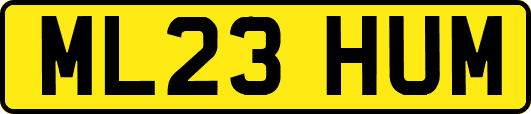 ML23HUM