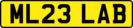 ML23LAB