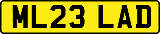 ML23LAD