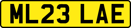 ML23LAE