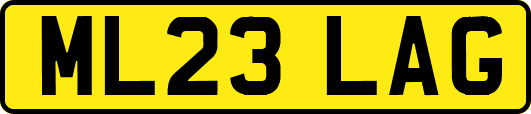 ML23LAG
