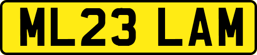 ML23LAM