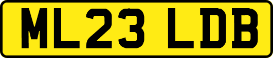 ML23LDB