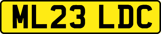 ML23LDC