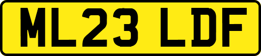 ML23LDF