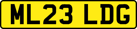 ML23LDG