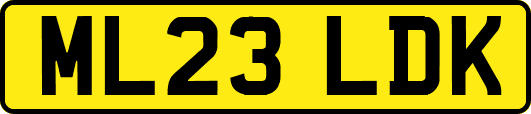 ML23LDK
