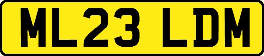 ML23LDM