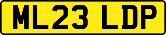 ML23LDP