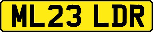 ML23LDR