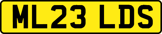 ML23LDS