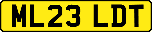 ML23LDT