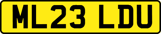 ML23LDU