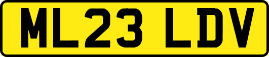 ML23LDV