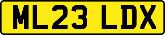 ML23LDX