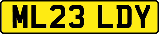 ML23LDY