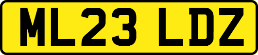 ML23LDZ