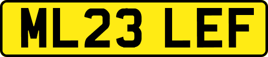 ML23LEF