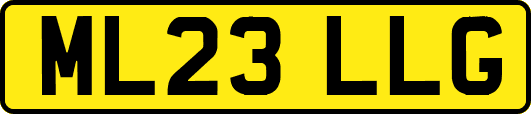 ML23LLG