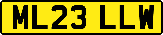 ML23LLW