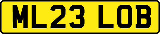 ML23LOB